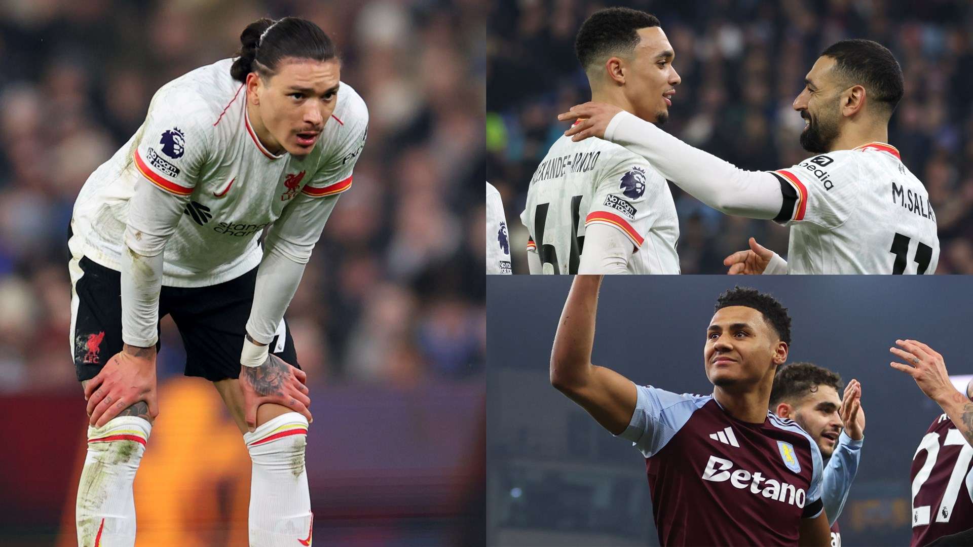 铃木不仅能 铃木不仅能