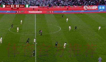 奥斯梅恩传射 尼日利亚2-0阿尔及利亚进四强 奥斯梅恩传射 尼日利亚2-0阿尔及利亚进四强